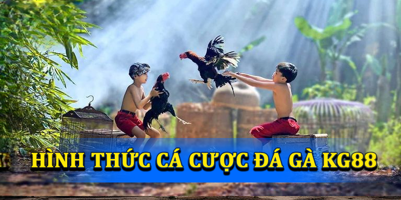 Đá Gà KG88 – Nơi Mang Đến Những Cuộc Chiến Đầy Kịch Tính